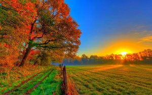 شروق,الشمس,2014 (16)