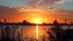 شروق,الشمس,2014 (17)