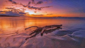 شروق,الشمس,2014 (18)