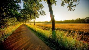 شروق,الشمس,منظر طبيعى (1)