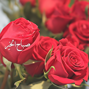صور-صباح-الخير-1