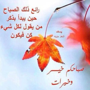 صور-صباح-الخير-صور-صباحية-مكتوب-عليها-صباح-الخير-15