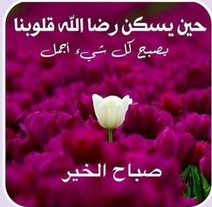 صور-صباح-الخير-صور-صباحية-مكتوب-عليها-صباح-الخير-2 (1)