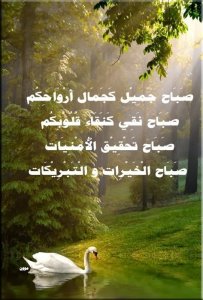 صور-صباح-الخير-صور-صباحية-مكتوب-عليها-صباح-الخير-38