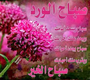 صور-صباح-الخير-صور-مكتوب-عليها-صور-رائعة-18