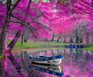 صور-وخلفيات-جميلة-2-450x375