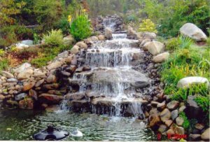 طبيعة-1-450x305