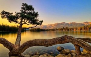 طبيعة-4-450x281