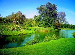 مناظر-طبيعية-1-450x332