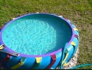 17457918_728564247324043_6842631964051264366_n