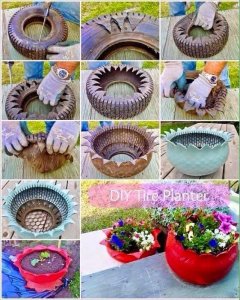 17554023_728564227324045_3445610004337378644_n