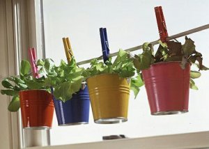 6-pots-multicolores-herbes-aromatiques-