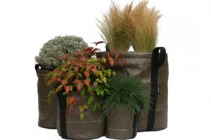 original-des-sac-pour-plantes_4697219