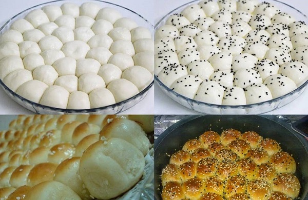 خلية النحل منال العالم خلية النحل منال العالم