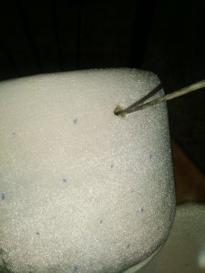 17626613_409028029472313_7711863937224073863_n