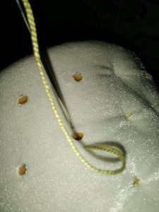 17630089_409029426138840_3472958380379790099_n