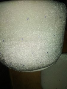 17634307_409026642805785_6658403175474061069_n