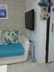 18118995_766973006798749_8398372059166138591_n