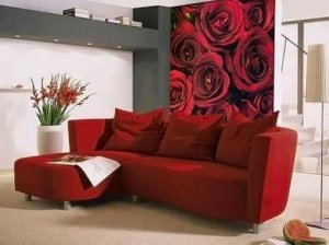 18157794_767934400035943_4894149134430215568_n