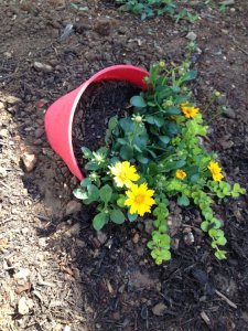 2ade4e9f38b7bb69bbbfb6c0133c5ca9