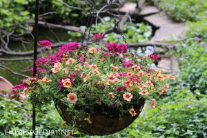 Pink-orange-hanging-basket