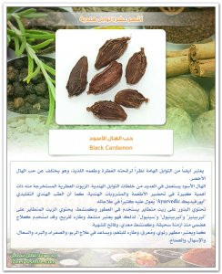 TopIndianSpices-02