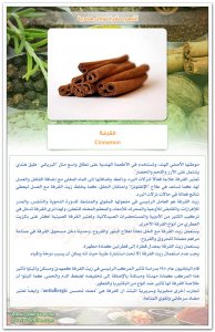 TopIndianSpices-04