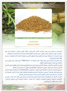 TopIndianSpices-07