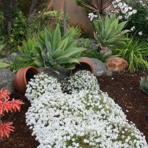 c2b087ad0bbc31ad583afa551512cd4b