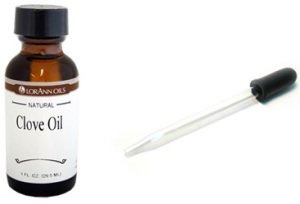 flies-clove-oil-2