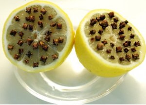 flies-lemon-cloves