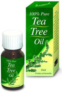 flies-tea-tree-oil