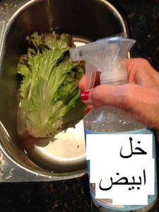 spraying-vigitables-1