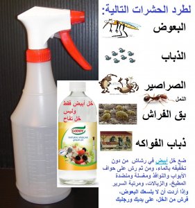 white-vinegar-spray-bottle