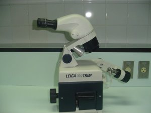 الرسوم التعليمية