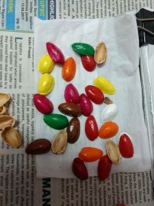 17951511_1441412489264357_308773264302688341_n