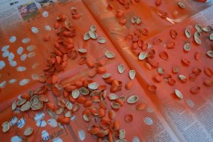 18034388_1441412412597698_3535449455481700403_n