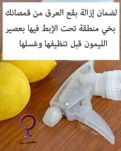 18194584_767936880035695_8825065550677934144_n