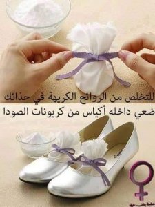 18198628_767937166702333_8091318168253120282_n