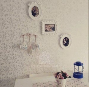 18268619_769475279881855_4371701888184341203_n