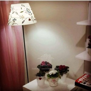 18268657_769475653215151_5721551177319533126_n