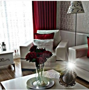 18301019_769475103215206_7555194575397983996_n