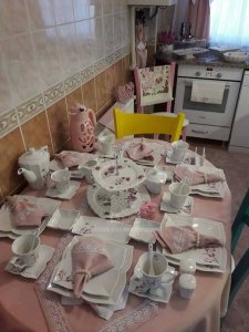 18403547_774519989377384_152937169833637847_n