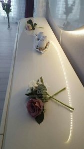 18403619_773976569431726_1938142404405462137_n