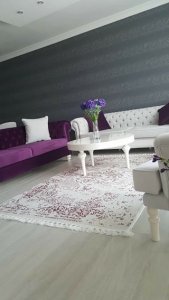 18425021_773975716098478_4007985762562544502_n