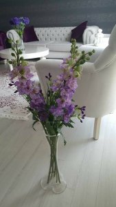 18425178_773976902765026_9001768256670952541_n