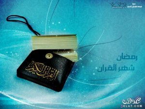 3dlat.net_10_16_6656_6c0c308e7d3717