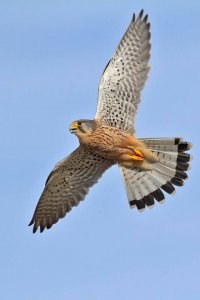 فكر اولا قبل اي عمل