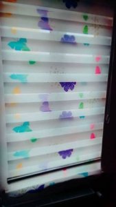 19665259_804323663063683_481723228787747467_n