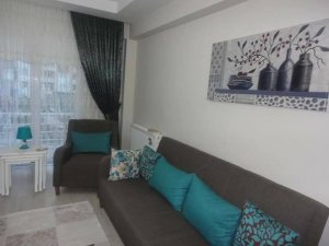 19702279_804320239730692_5303811605540600978_n